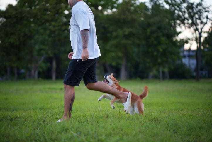 iStock-1693489591
